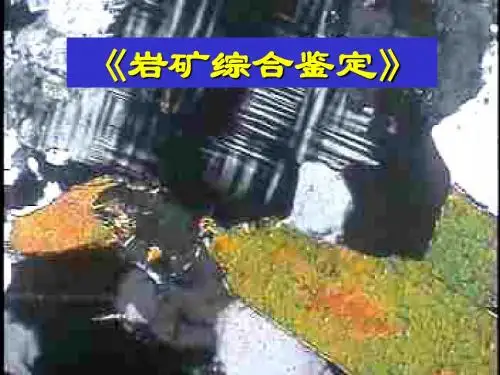 岩矿综合鉴定(吉林大学于介江老师)