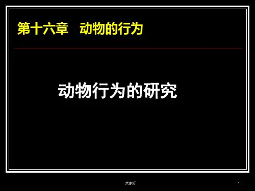 动物行为的研究-PPT