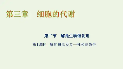 新教材高中生物第三章第二节第1课时酶的概念及专一性和性课件浙科版必修第一册ppt
