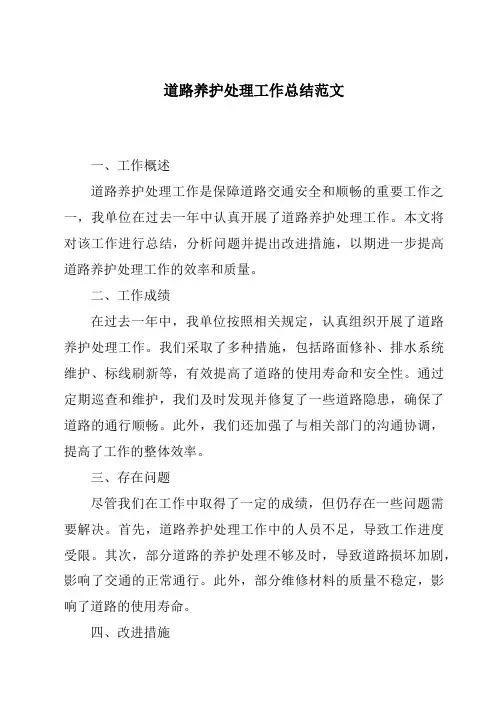 道路养护处理工作总结范文