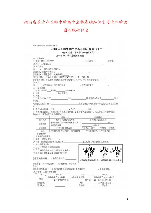 湖南省长沙市长郡中学高中生物基础知识复习十二学案图片版必修2