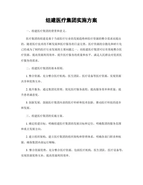 组建医疗集团实施方案