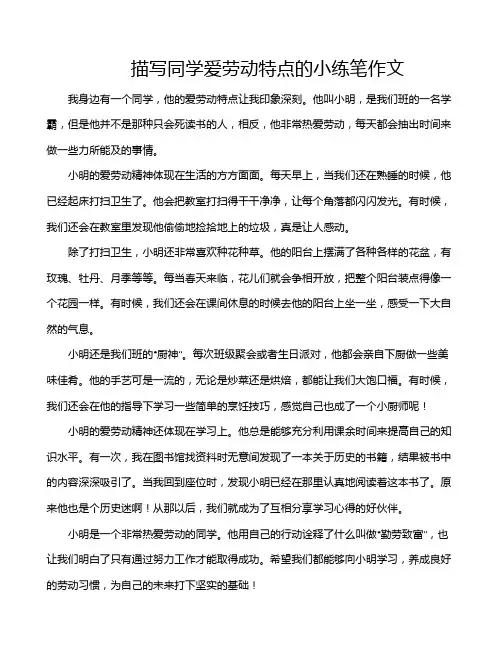 描写同学爱劳动特点的小练笔作文