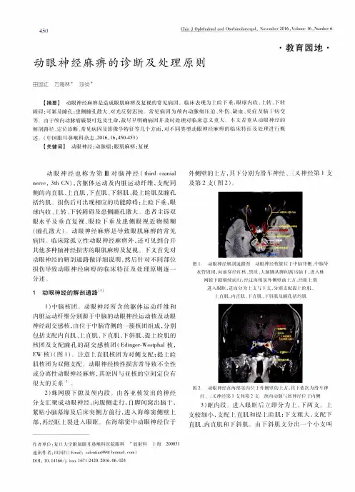 动眼神经麻痹的诊断及处理原则