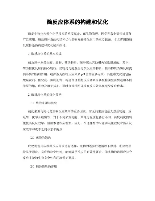 酶反应体系的构建和优化