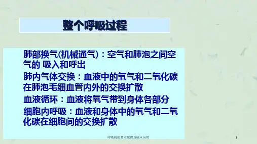 呼吸机的基本原理及临床应用课件