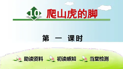 (部编版)爬山虎的脚PPT优秀课件1