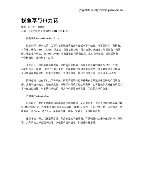 梭鱼草与再力花