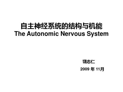 自主神经系统+11ppt课件