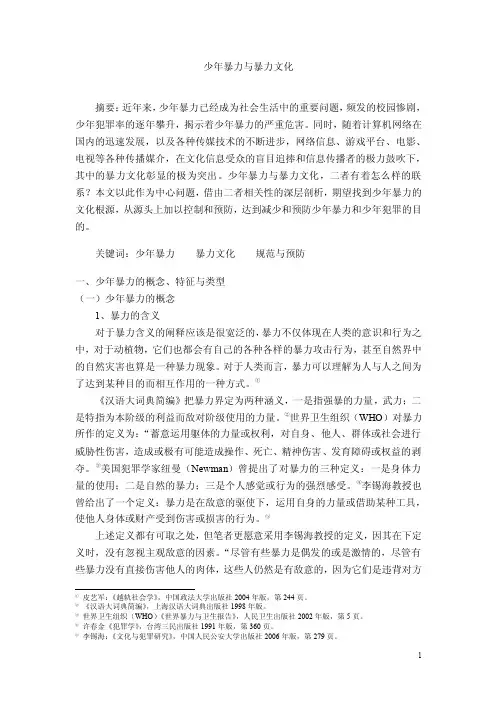 少年暴力与暴力文化