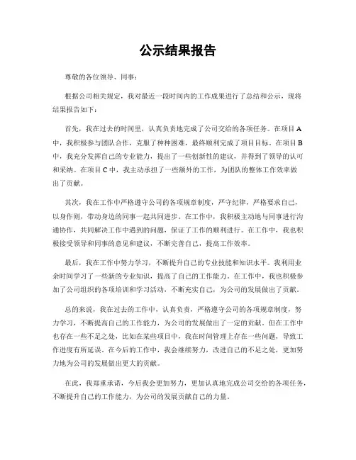 公示结果报告
