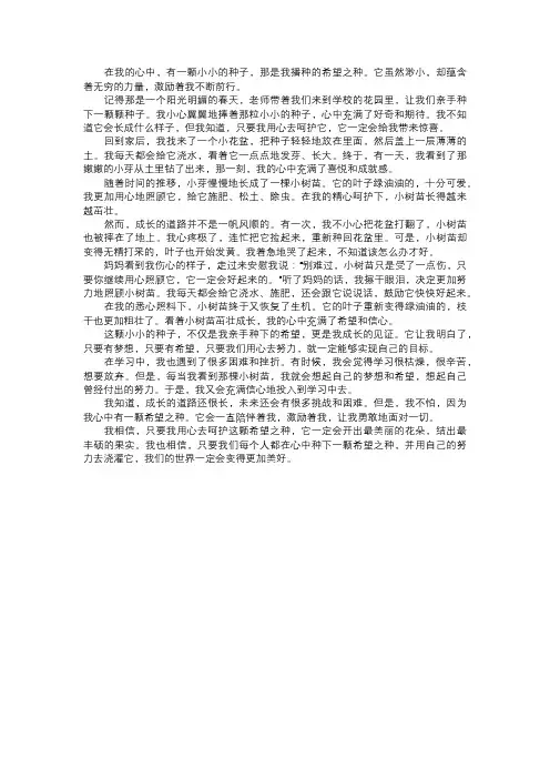 我播种的希望之种