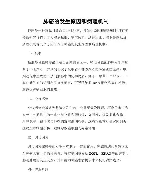 肺癌的发生原因和病理机制