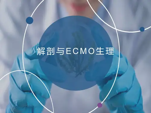 ECMO解剖与生理
