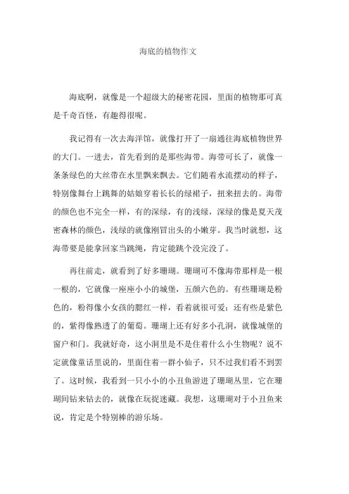 海底的植物作文
