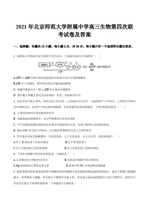 2021年北京师范大学附属中学高三生物第四次联考试卷及答案