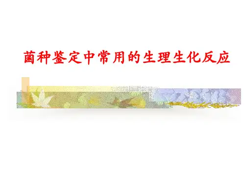 细菌鉴定中常用的生理生化反应