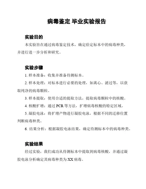 病毒鉴定 毕业实验报告