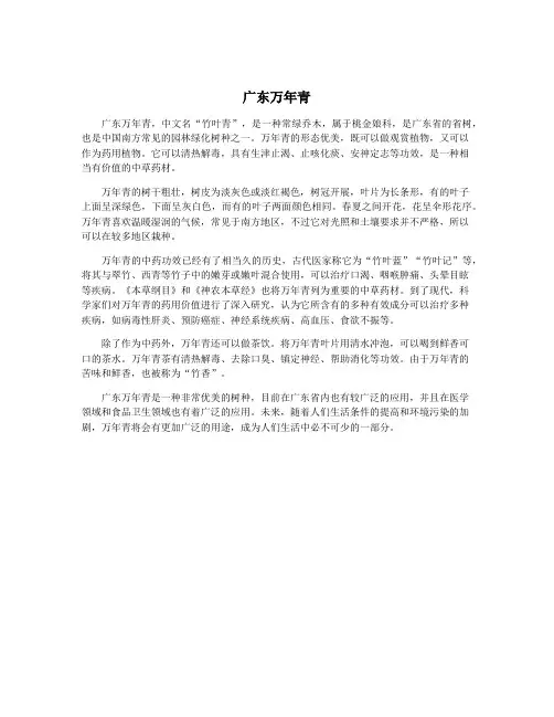 广东万年青
