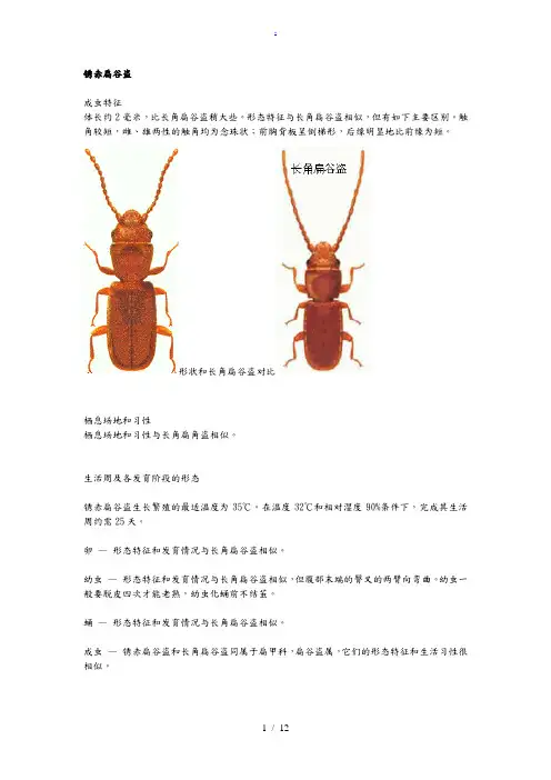 部分储粮害虫高清图