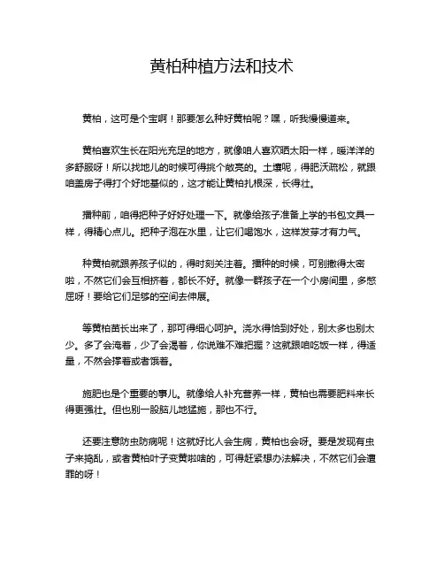 黄柏种植方法和技术