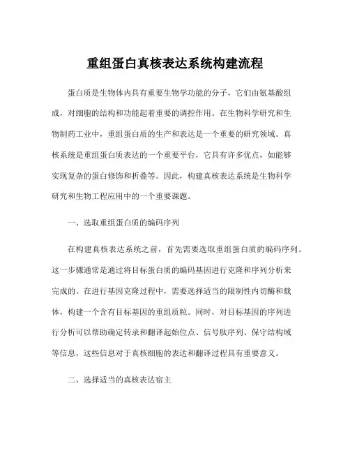 重组蛋白真核表达系统构建流程