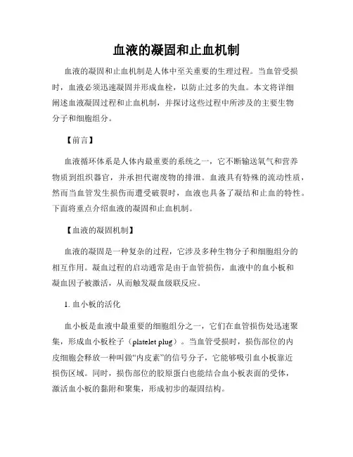 血液的凝固和止血机制