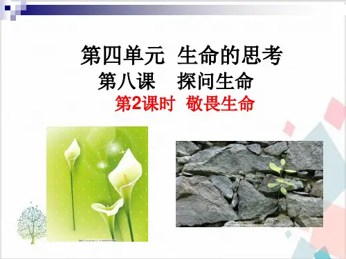 《敬畏生命》_课件-完美版