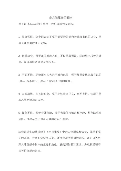 小兵张嘎好词摘抄