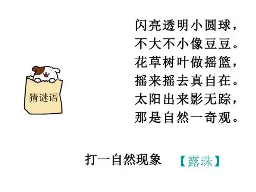 2018苏教版三年级语文上册课文6《小露珠》ppt