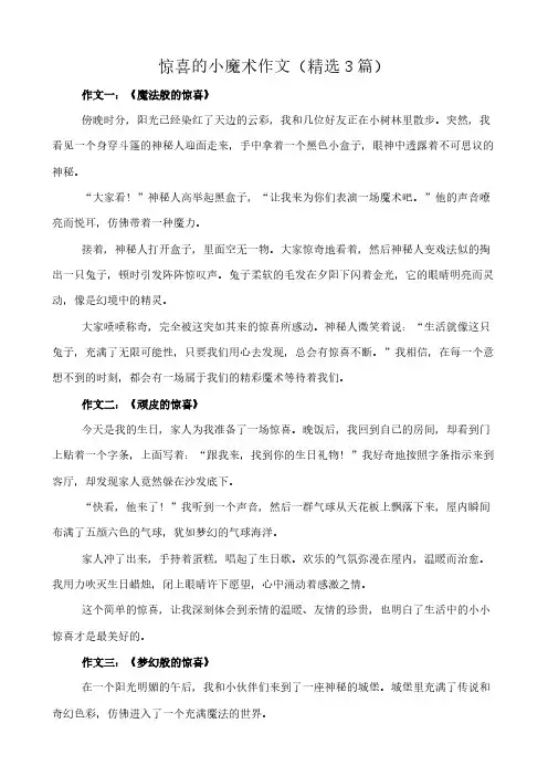 惊喜的小魔术 作文(精选3篇)