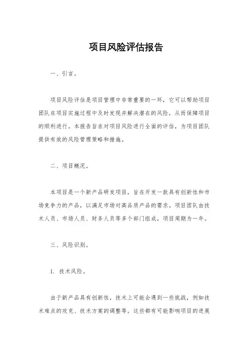 项目风险评估报告