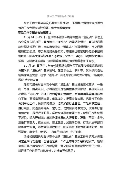 整治工作专题会会议纪要_会议纪要_