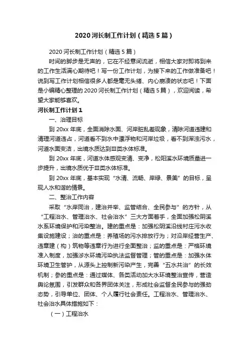 2020河长制工作计划（精选5篇）