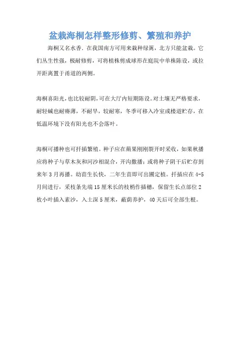 盆栽海桐怎样整形修剪、繁殖和养护