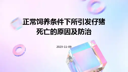 正常饲养条件下所引发仔猪死亡的原因及防治