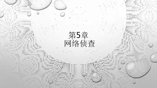 第5章  网络侦查