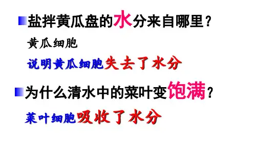 北师大版七年级生物上册 3.5.3 吸收作用 课件(共26张PPT) (1)