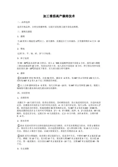 加工番茄高产栽培技术