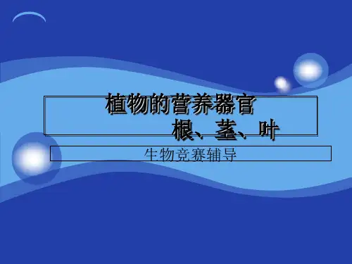 植物生物学——植物的营养器官根、茎、叶共115张ppt课件