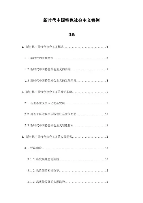 新时代中国特色社会主义案例