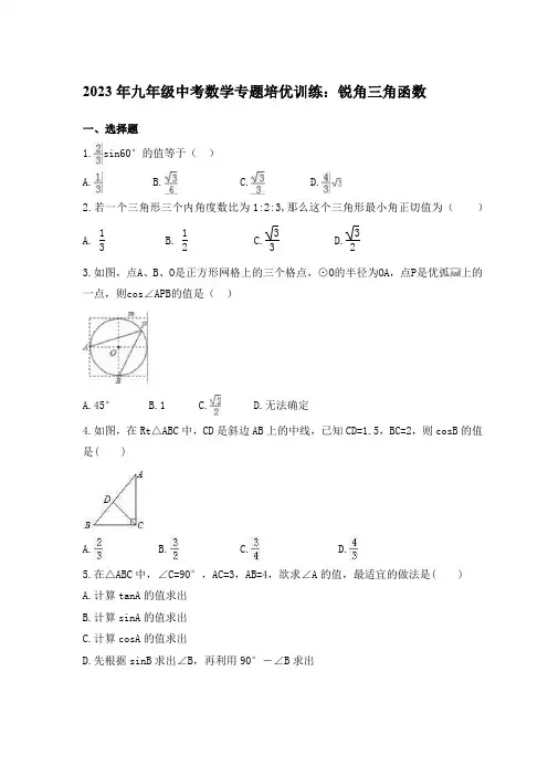 2023年九年级中考数学专题培优训练： 锐角三角函数【含答案】