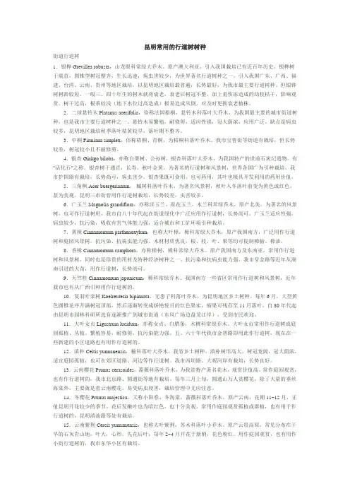 昆明常用的行道树树种