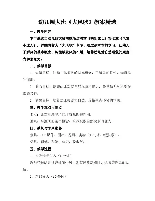 幼儿园大班《大风吹》教案精选