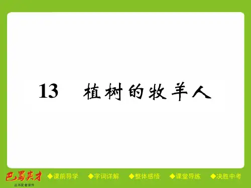 七年级语文上册课件(人教部编版)：13 植树的牧羊人(共33张PPT)