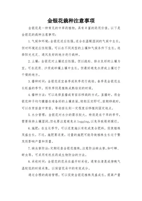 金银花栽种注意事项
