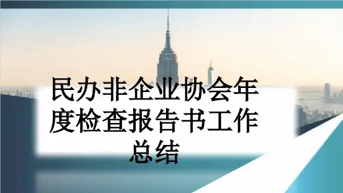民办非企业协会年度检查报告书工作总结