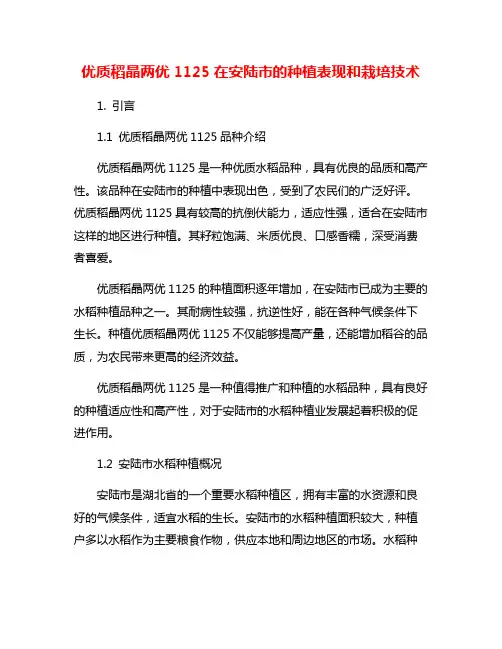 优质稻晶两优1125在安陆市的种植表现和栽培技术