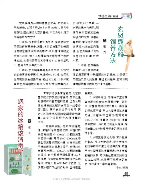 玄凤鹦鹉的饲养方法