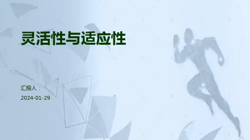 灵活性与适应性